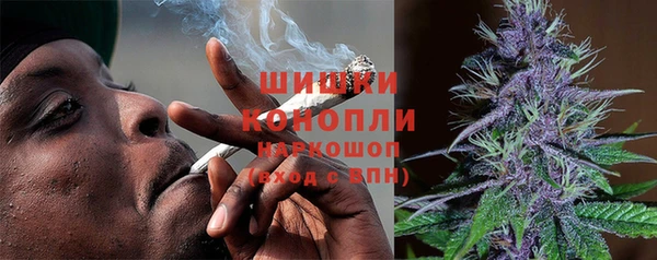 первитин Заводоуковск