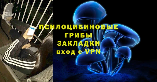 первитин Заводоуковск