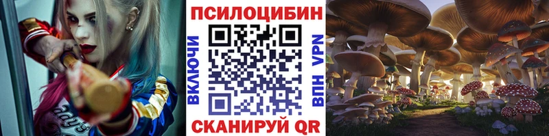 Купить закладки  Карпинск  Псилоцибиновые грибы прущие грибы 